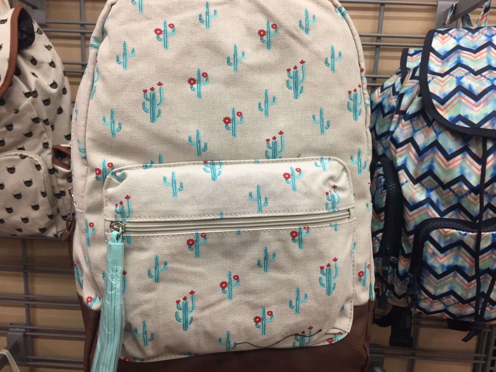 SaguarobackpackWalmart.JPG